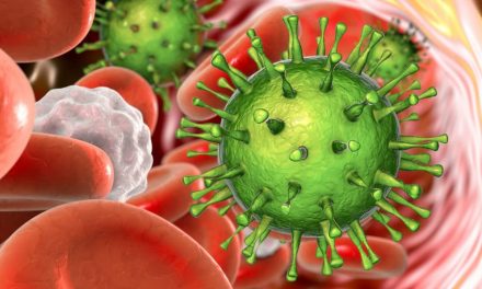 Citomegalovirus: ecco come il sistema immunitario può sconfiggere l’infezione